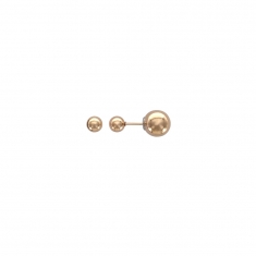 Boucles d'oreilles puces 