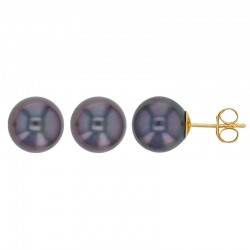 Boucles d'oreilles puces perle de Tahiti 8 à 9 mm en Or 750/1000 - qualité A/B