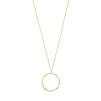 Collier argent 925/1000 doré diamanté avec cercle serti de 5 cristaux