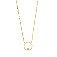 Collier cercle diamanté argent 925/1000 doré orné d'un oxyde de zirconium
