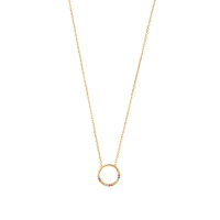 Collier cercle lisse et oxydes de couleurs, Plaqué or