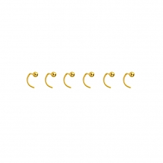 Lot de 6 boucles de nez Or 750/1000