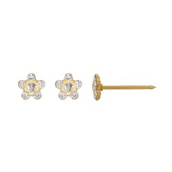 Perçage d'oreilles Inverness Fleur acier doré à l'or fin orné de cristaux blancs