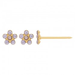 Perçage d'oreilles Inverness Fleur acier doré or fin orné de cristaux violet et améthyste